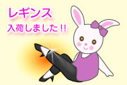レギンス画像